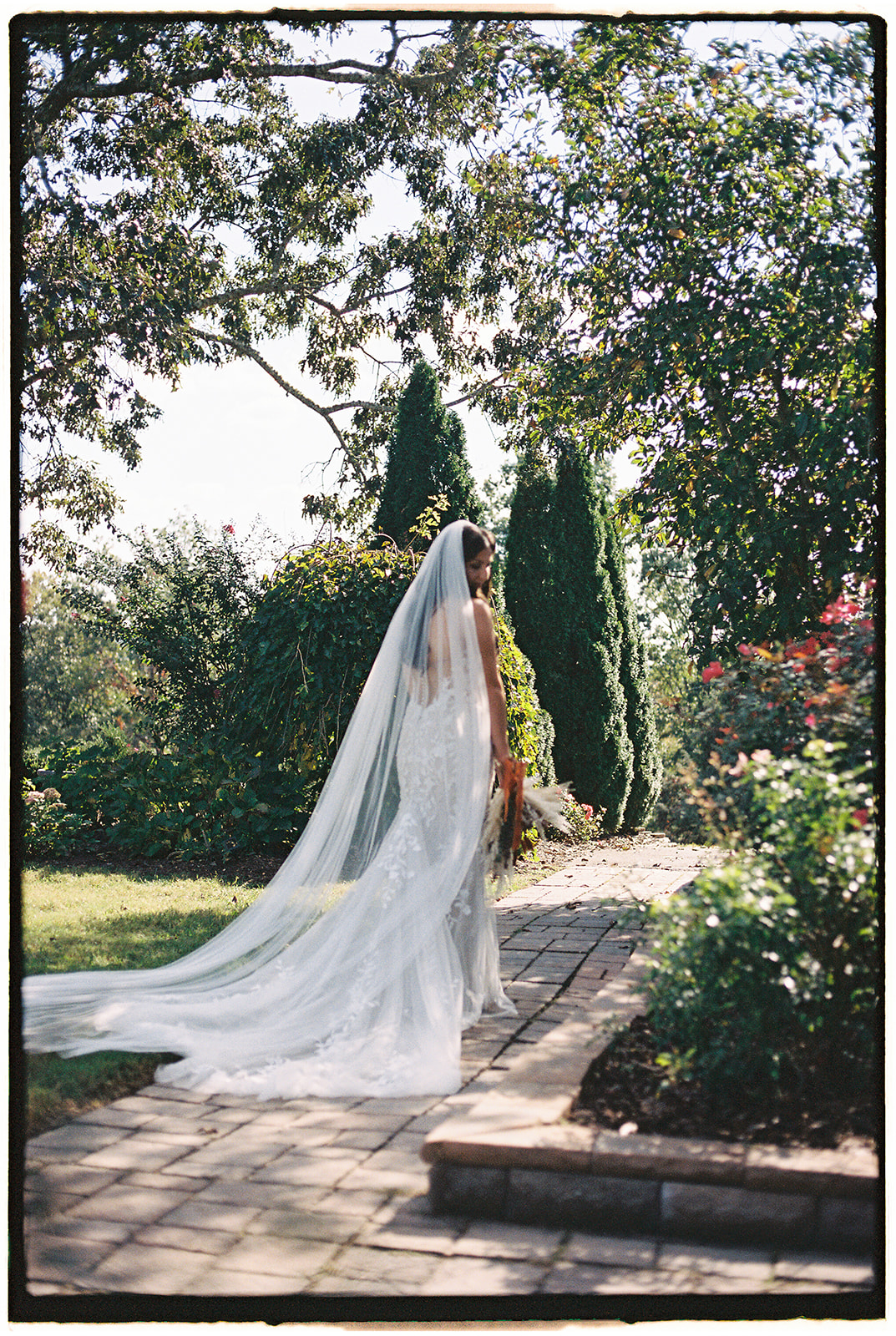 A bride walks down a garden brick sidewalk in a film photo taken by a Hybrid Wedding Photography