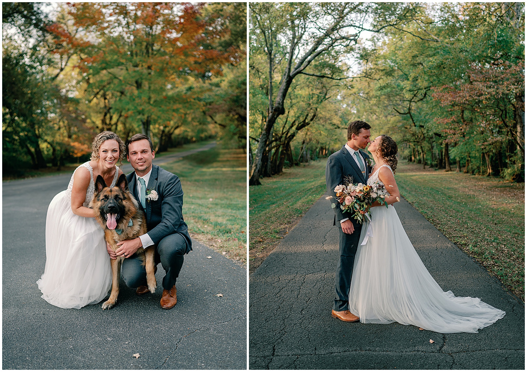 Newlyweds kiss and kneel with their german shepherd in a waved path