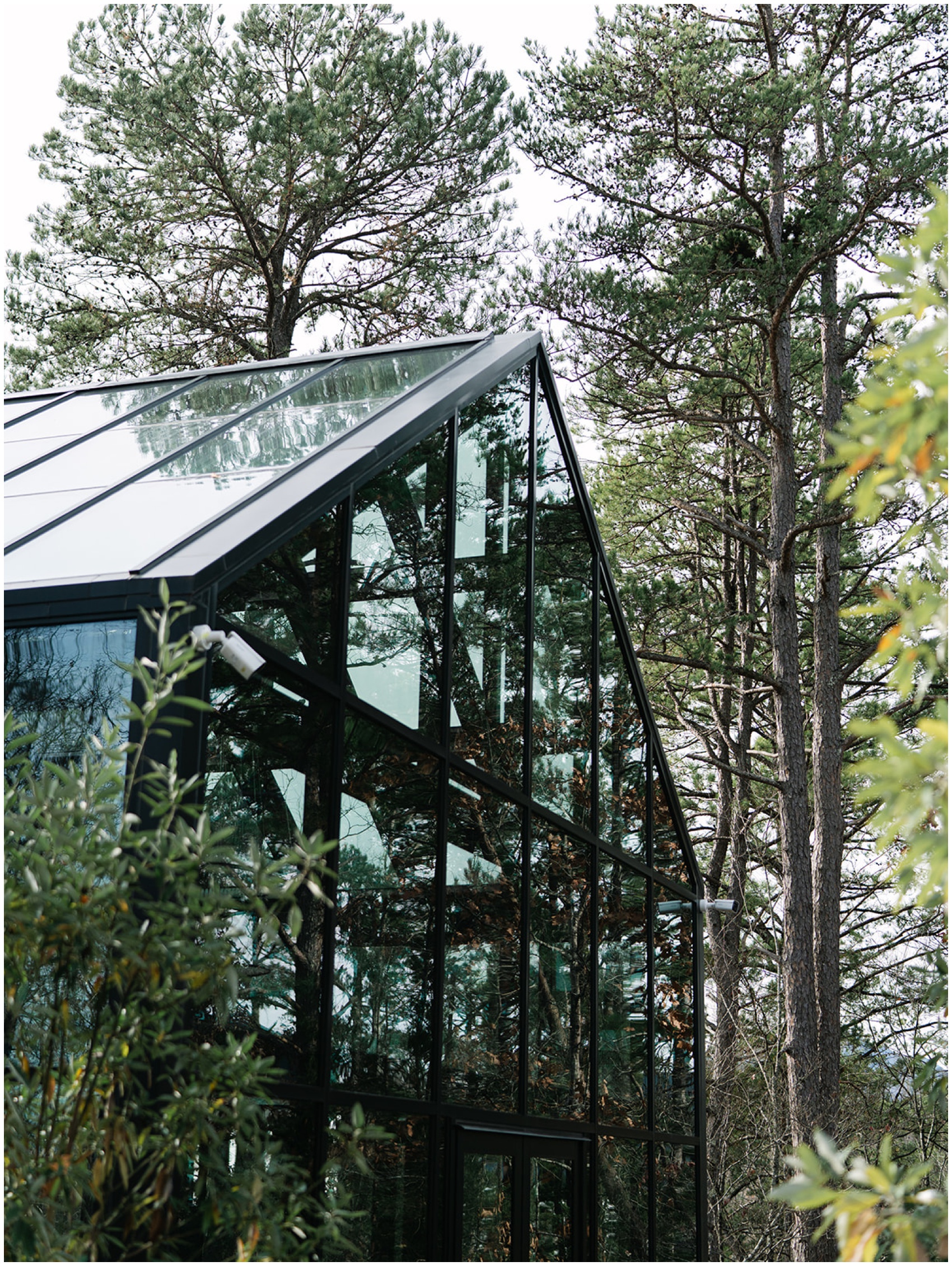 A look at the glass structure of the Nichols Heir Wedding venue in the forest